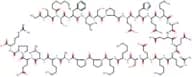 Ghrelin (mouse, rat)