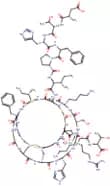 Hepcidin 25 (human)