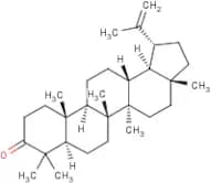 Lupenone