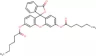 Fluorescein dicaproate