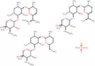 Gentamicin sulphate