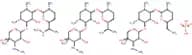 Gentamicin Sulphate Solution (50 mg/mL)