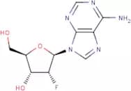 2'-Deoxy-2'-fluoroadenosine