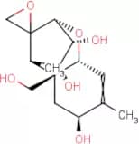 T2 Tetraol Standard Solution