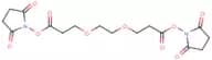Bis-PEG2-NHS Ester