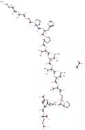 NFAT Inhibitor