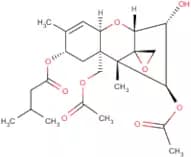 T-2 Toxin