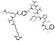 VCMMAE