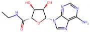 5'-N-Ethylcarboxamidoadenosine
