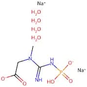 Sodium creatine phosphate dibasic tetrahydrate