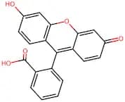Fluorescein