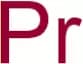Praseodymium, powder 250 micron