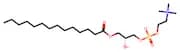 (R)-2-Hydroxy-3-(Tetradecanoyloxy)Propyl (2-(Trimethylammonio)Ethyl) Phosphate