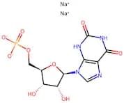 Xanthosine 5Õ-monophosphate