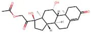 Hydrocortisone Acetate