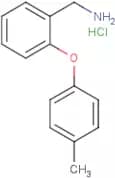 2-(4-Methylphenoxy)benzylamine hydrochloride