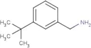 3-tert-Butyl-benzylamine hydrochloride