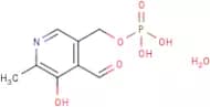 Pyridoxal 5'-phosphate hydrate