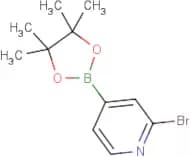 2-Bromo-4-(4,4,5,5-tetramethyl-[1,3,2]dioxaborolan-2-yl)-pyridine