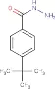 4-(tert-Butyl)benzhydrazide