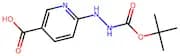 6-(2-(tert-Butoxycarbonyl)hydrazinyl)nicotinic acid
