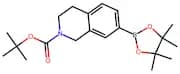 tert-Butyl 7-(4,4,5,5-tetramethyl-1,3,2-dioxaborolan-2-yl)-3,4-dihydroisoquinoline-2(1H)-carboxyla…