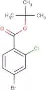 tert-Butyl 4-bromo-2-chlorobenzoate