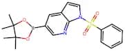 1-(Phenylsulfonyl)-5-(4,4,5,5-tetramethyl-1,3,2-dioxaborolan-2-yl)-1H-pyrrolo[2,3-b]pyridine