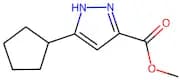 methyl 5-cyclopentyl-1H-pyrazole-3-carboxylate