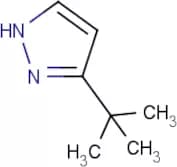3-tert-Butyl-1H-pyrazole