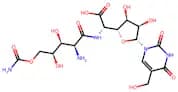 Polyoxin b