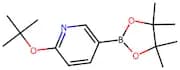 2-(Tert-butoxy)-5-(4,4,5,5-tetramethyl-1,3,2-dioxaborolan-2-yl)pyridine