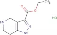 4,5,6,7-Tetrahydro-1h-pyrazolo[4,3-c]pyridine-3-carboxylic acid ethyl ester hydrochloride