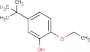 5-tert-butyl-2-ethoxyphenol