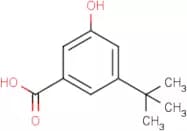3-T-Butyl-5-hydroxybenzoic acid