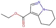 4,5,6,7-Tetrahydro-pyrazolo[1,5-a]pyridine-3-carboxylic acid ethyl ester
