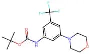 (3-Morpholin-4-yl-5-trifluoromethyl-phenyl)-carbamic acid tert-butyl ester
