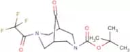tert-Butyl 9-oxo-7-(2,2,2-trifluoroacetyl)-3,7-diaza-bicyclo[3.3.1]nonane-3-carboxylate