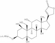 G-strophanthin