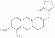 Dihydroberberine