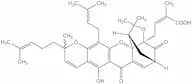 R,s-gambogic acid