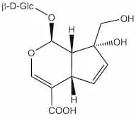 Monotropein