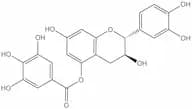 (+)-catechin 5-gallate