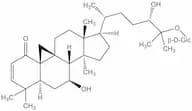Sutherlandioside d