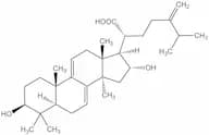 Dehydrotumulosic acid