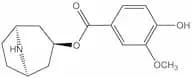 Convolidine