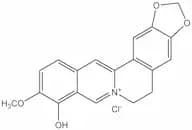 Berberrubine chloride