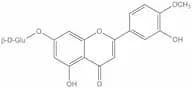 Diosmetin 7-glucuronide