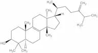 Euphorbol