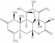 Eurycomanone